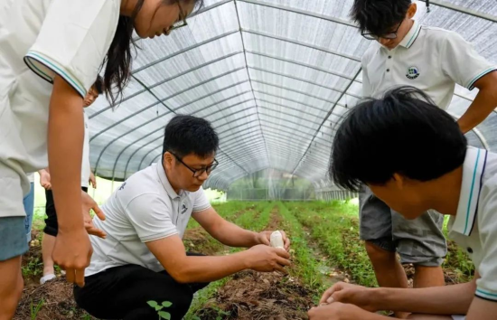 圖為駐村干部帶領“火車頭”大思政實踐隊成員在竹蓀大棚進行采摘作業