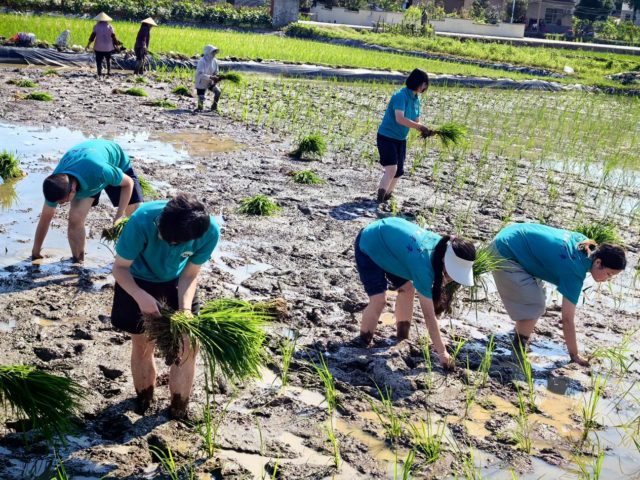 華東交通大學(xué)“追風(fēng)青年”走進(jìn)田間地頭